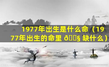 1977年岀生是什么命（1977年出生的命里 🐧 缺什么）